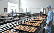 食品传送带 食品输送机 食品皮带输送机 厂家 可定制 生产-郑州巨森机械设备 -